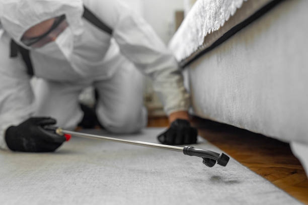Professional Termite Control technician working in Prairie Grove, AR
