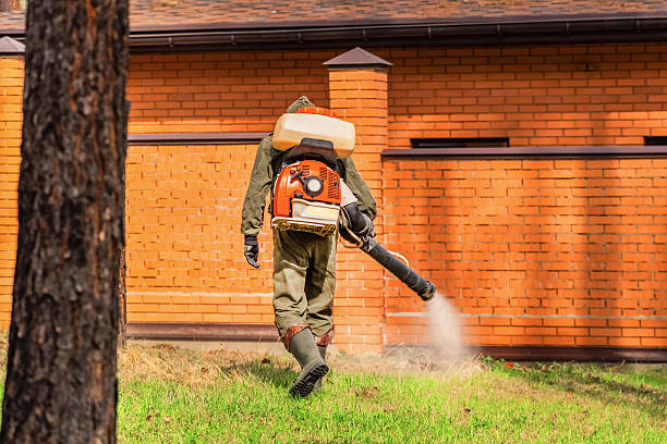 Trusted Termite Control service in Prairie Grove, AR - Nex Pest Control
